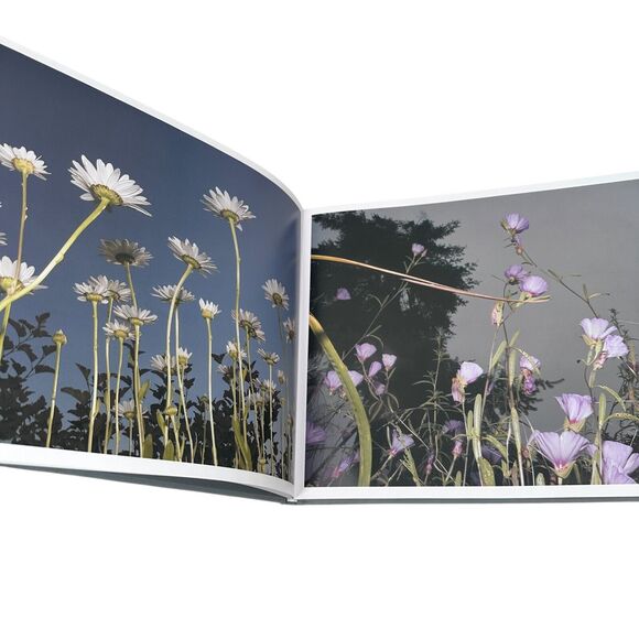 Flowers Book Tony Mendoza First Edition 1000 Copies Hardcover Nature Photography - Picture 5 of 10